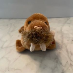 2 for $30🌶✨| PAUL the Walrus Beanie Baby